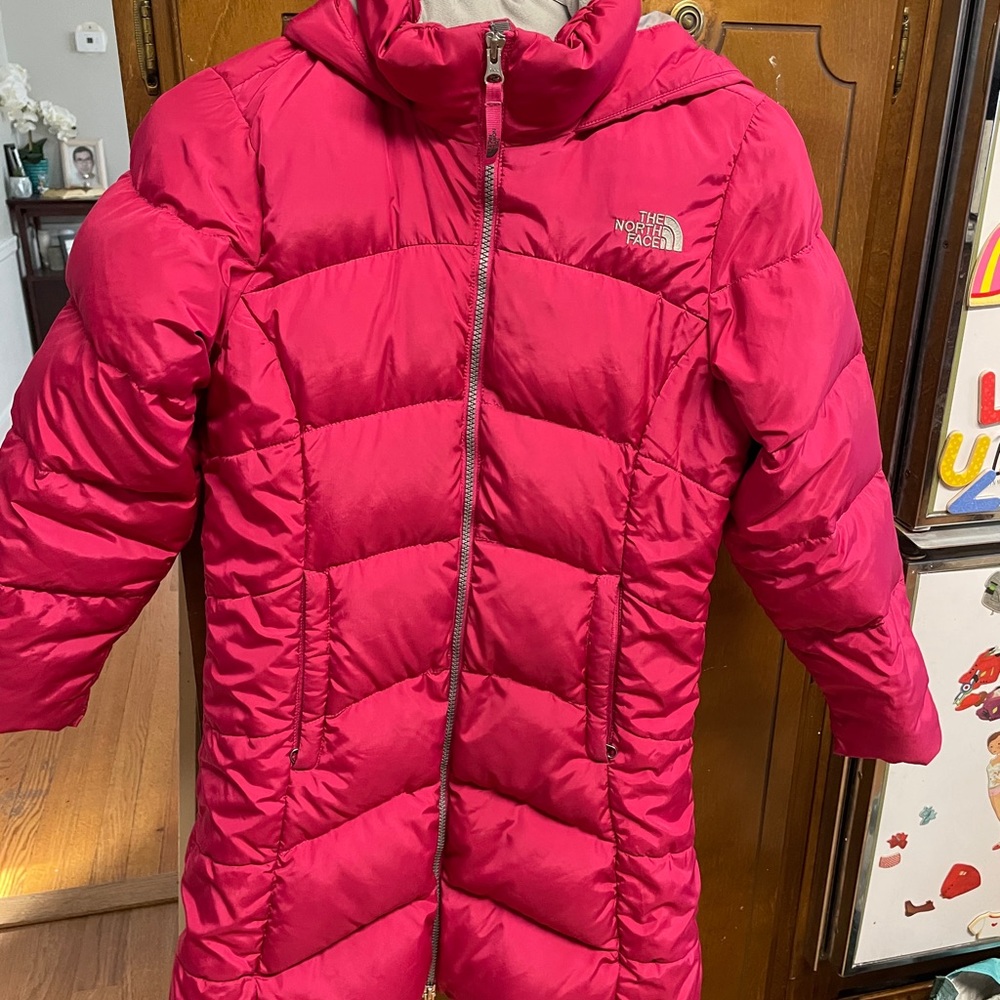 The North face parka